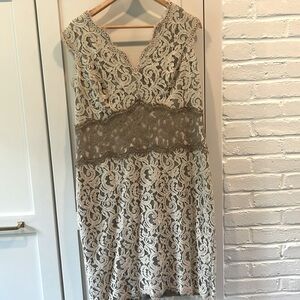 Tadashi Shoji Cream Lace Shift Dress